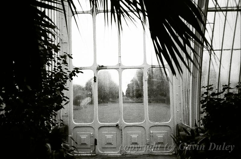 View from Palm House, Kew Gardens, London12330034.JPG